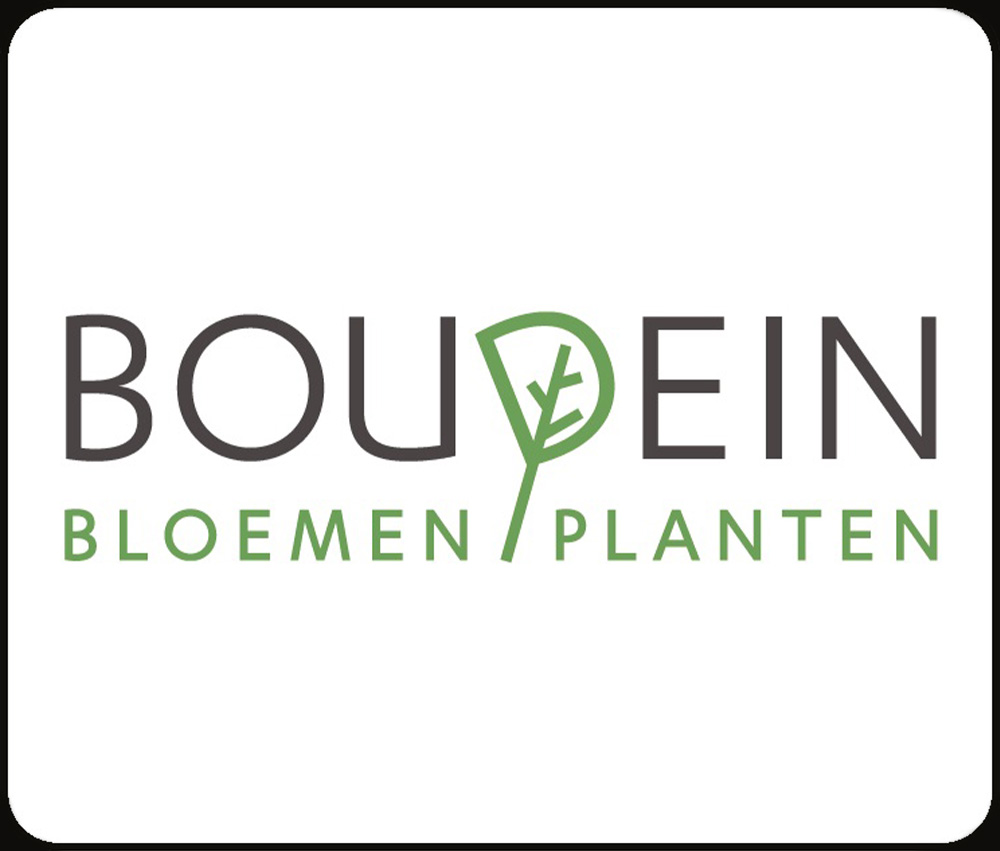 <center>Boudein</center>